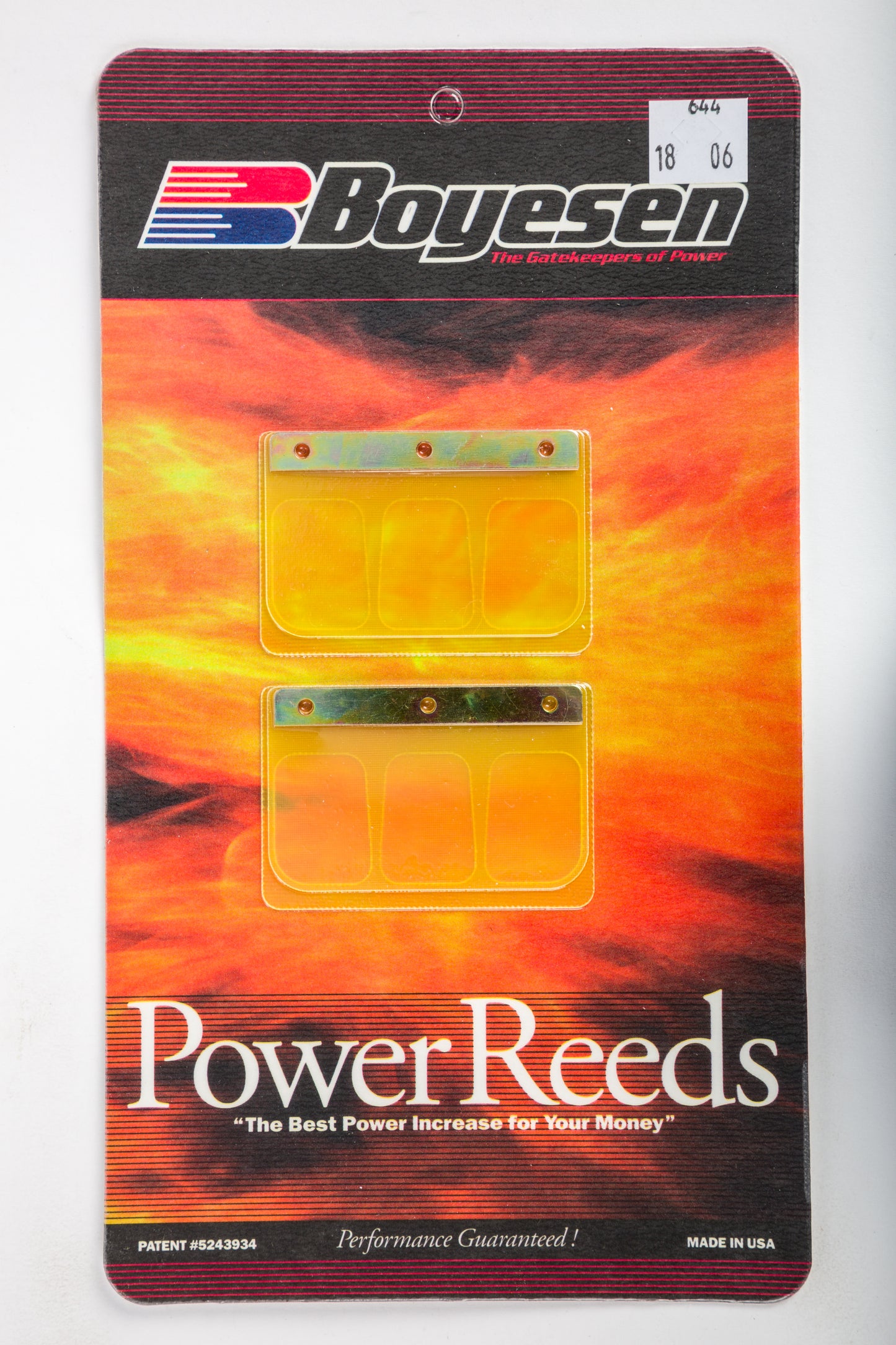 Motorcycle Reeds