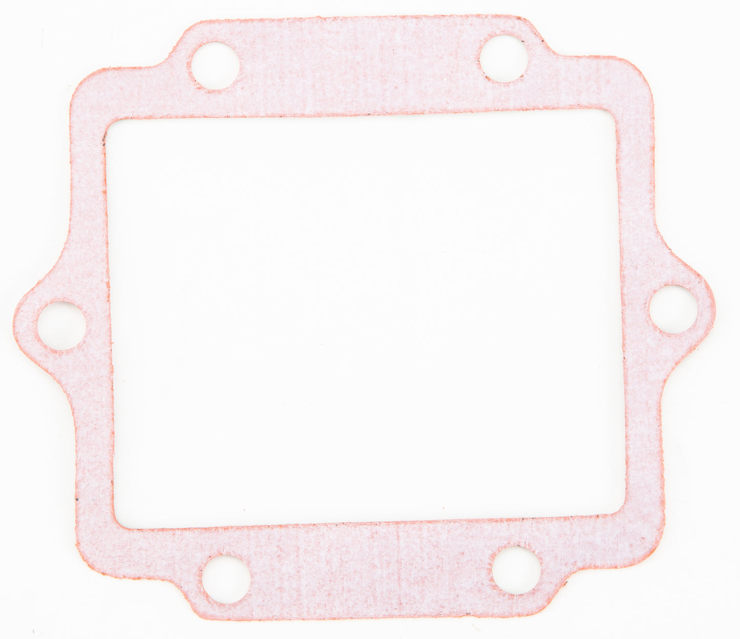 Motorcycle Rad Gasket