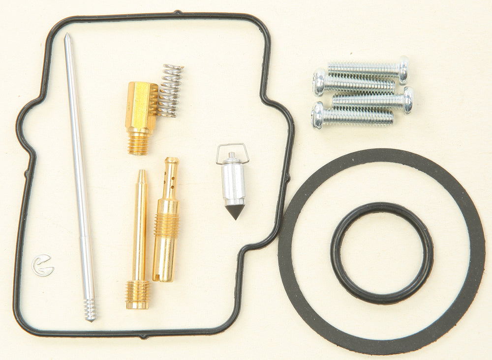 Bike Carburetor Rebuild Kit