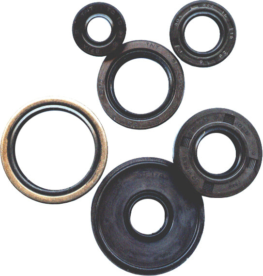 Oil Seal Kit Dirt