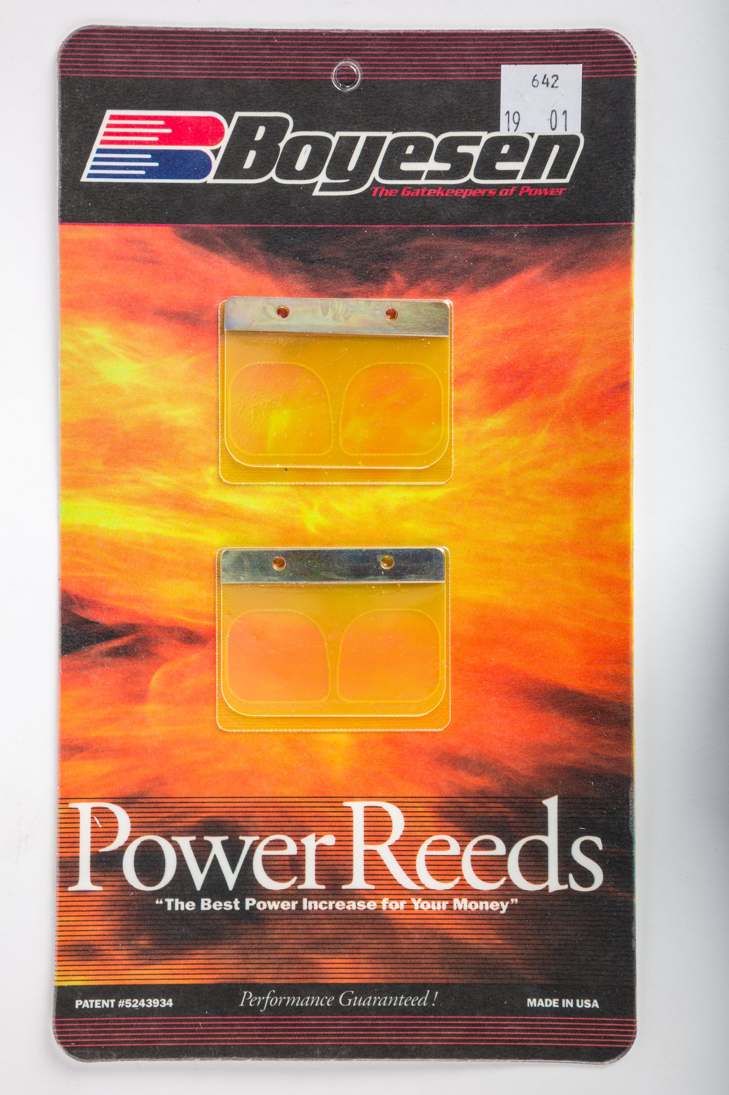 Motorcycle Reeds