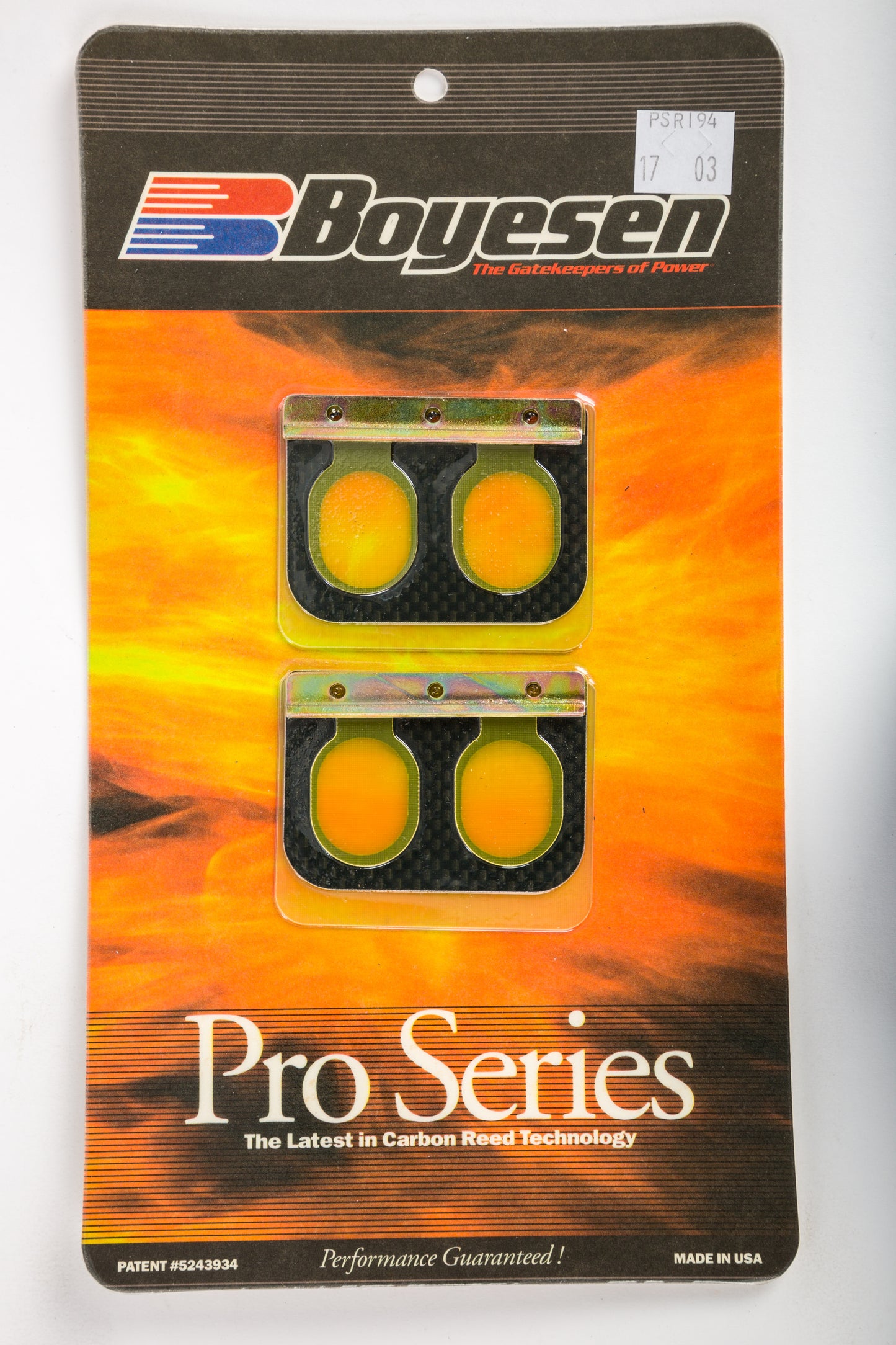 Motorcycle Pro Reeds