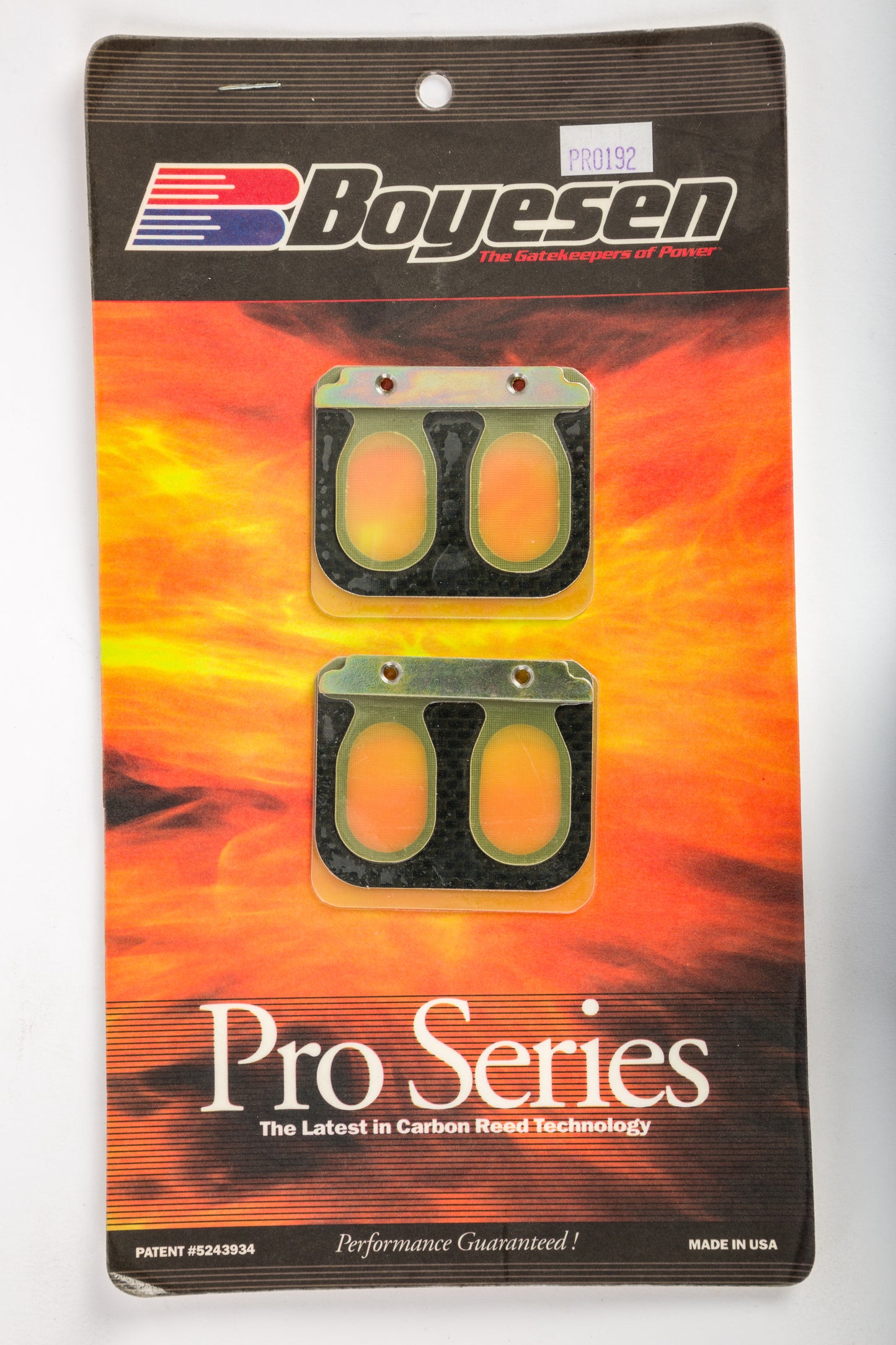 Motorcycle Pro Reeds