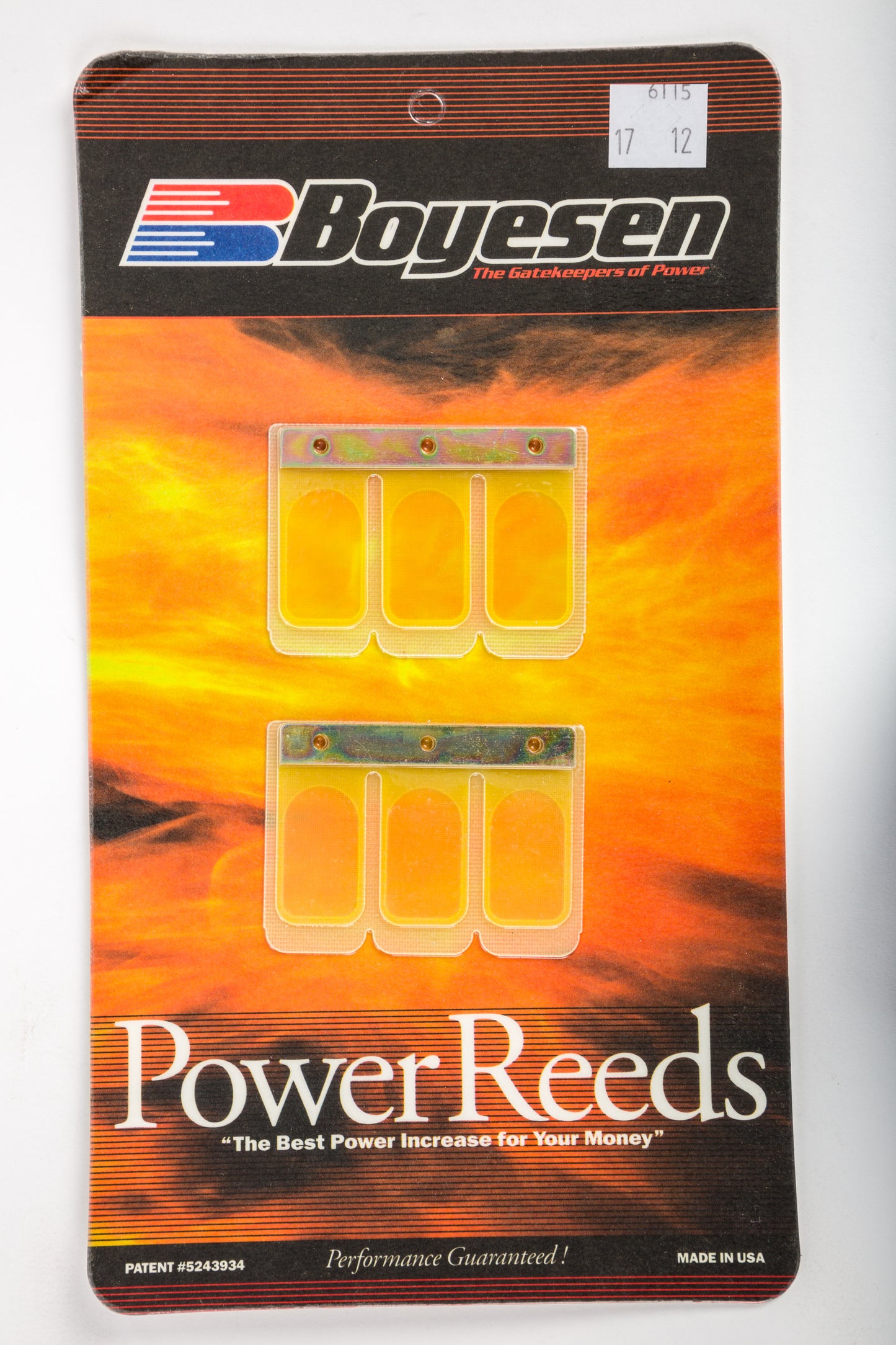 Motorcycle Reeds
