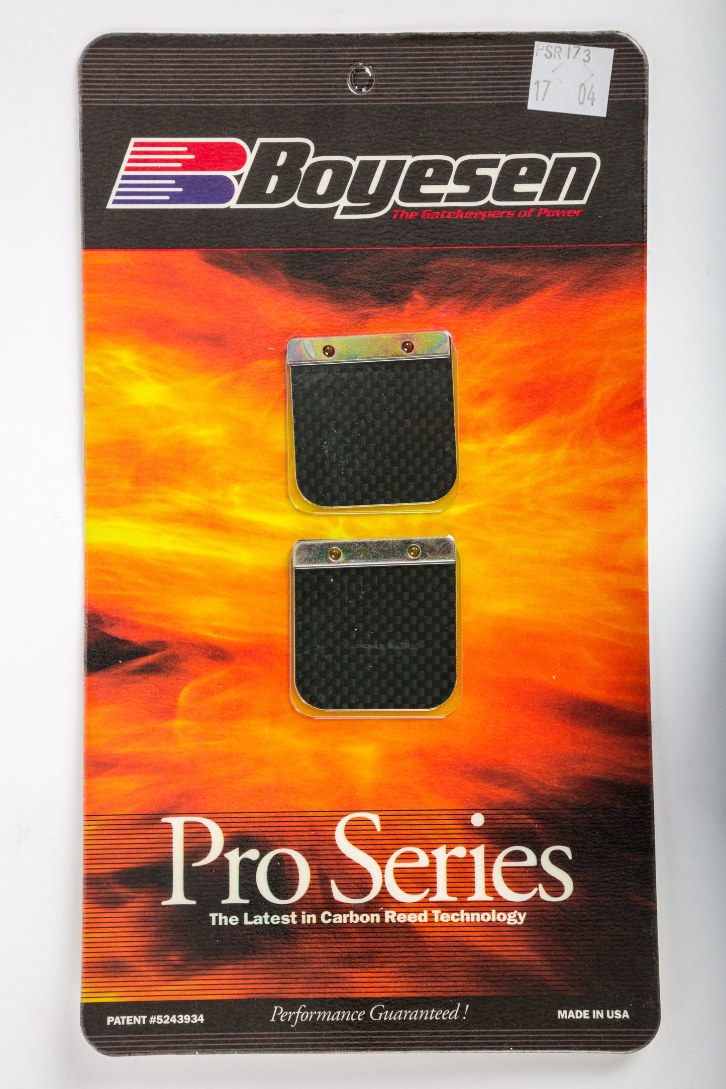 Motorcycle Pro Reeds