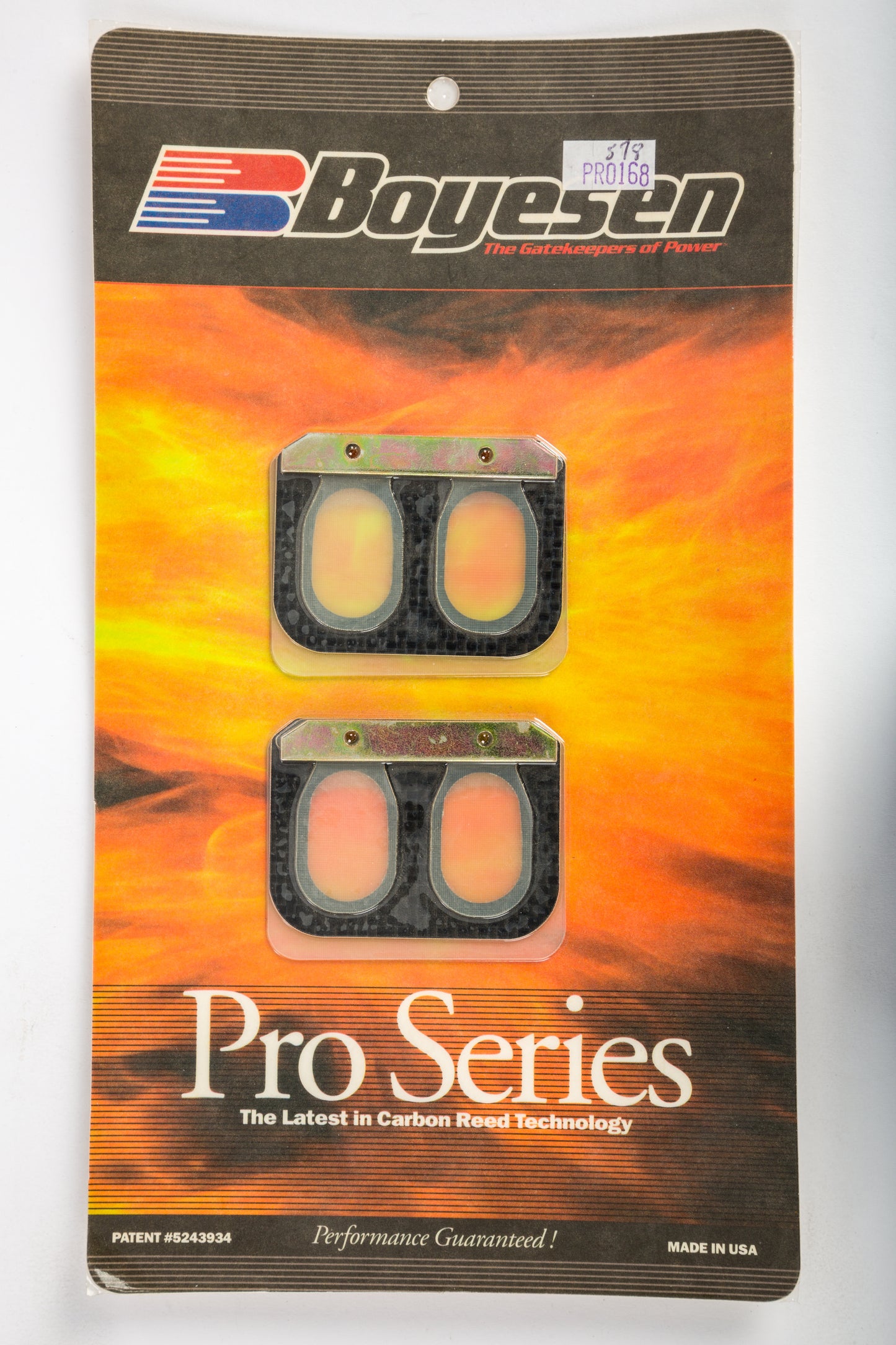 Motorcycle Pro Reeds