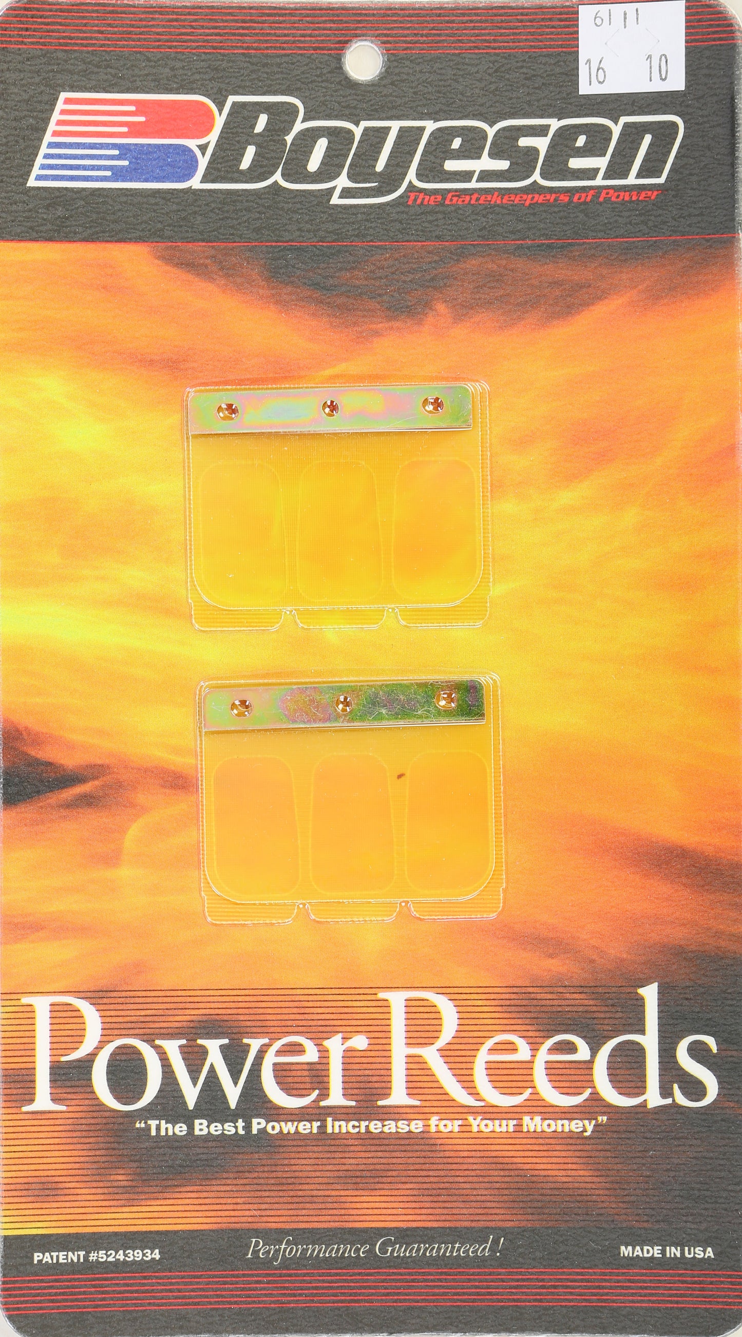 Motorcycle Reeds