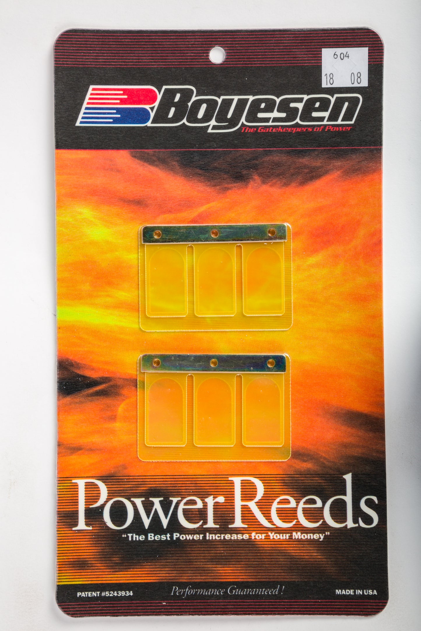 Motorcycle Reeds