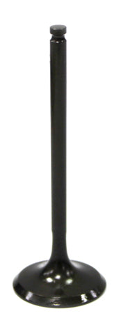 Intake Valve