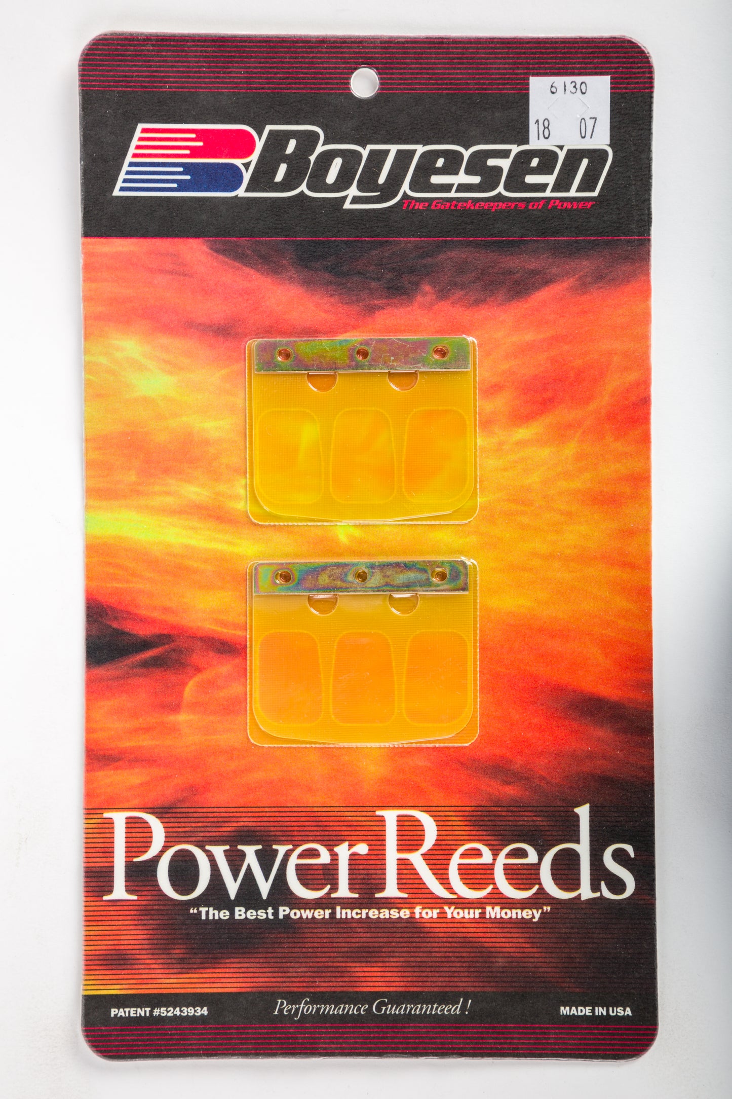 Motorcycle Reeds