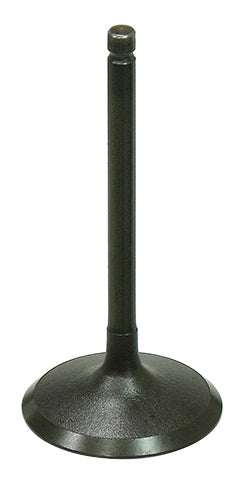 Intake Valve