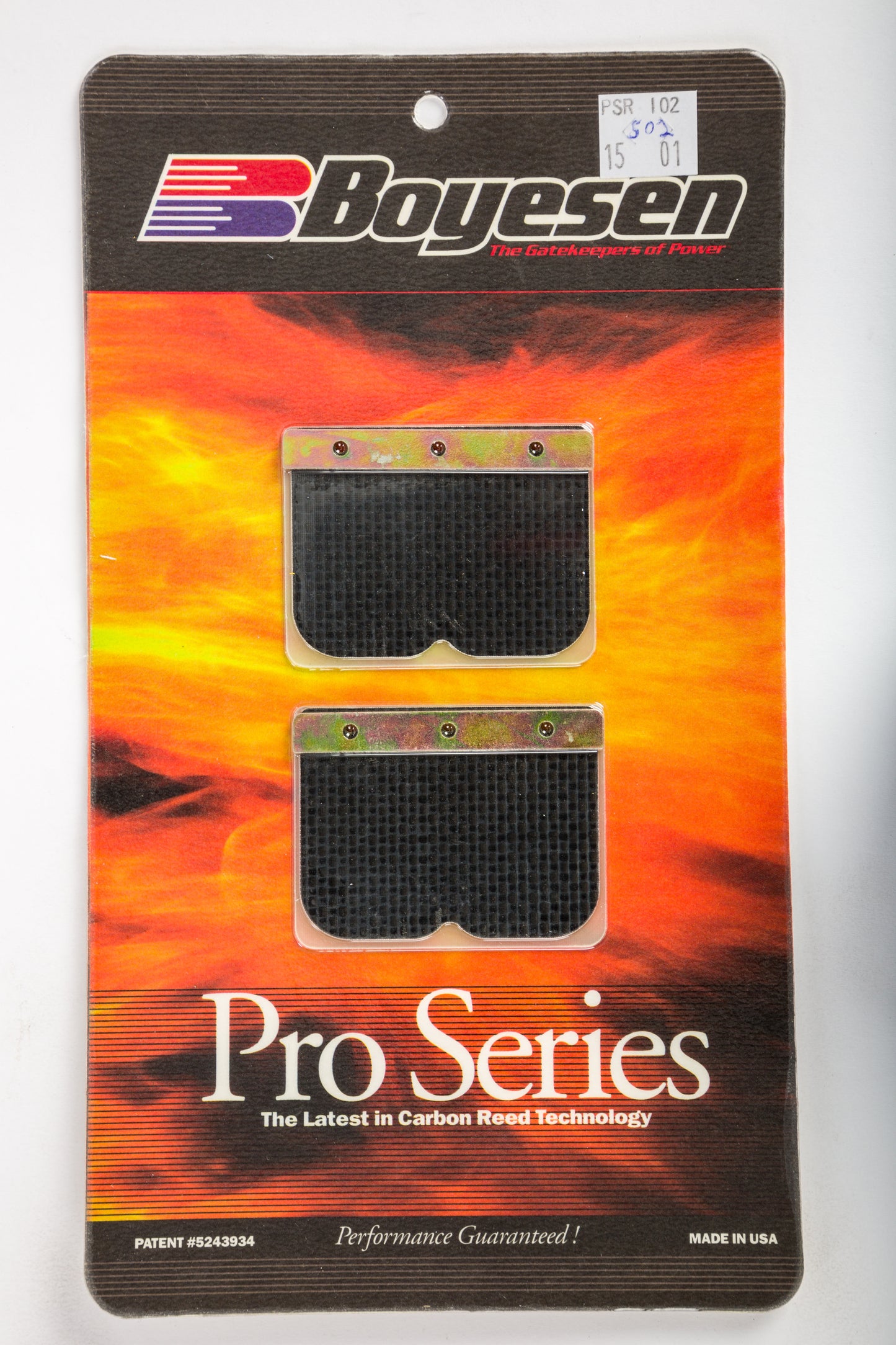 Motorcycle Pro Reeds