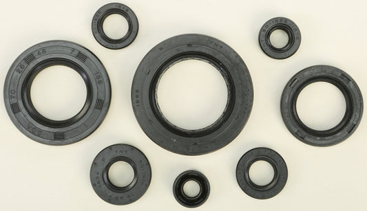 Oil Seal Set
