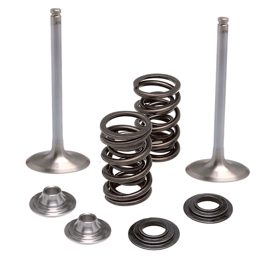 Intake Valve/Spring Kit .450" Lift