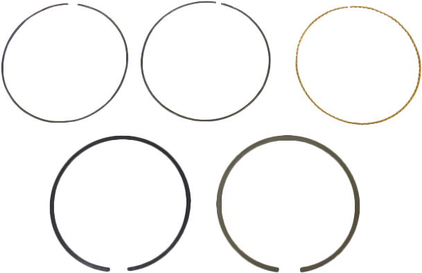 Piston Rings 65.5mm Hon For Namura Pistons Only