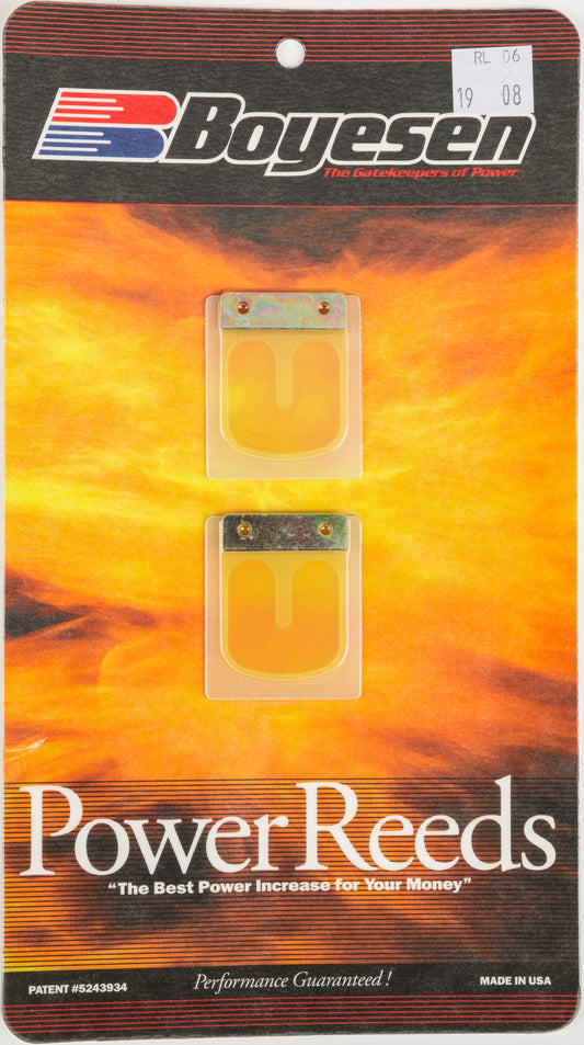 Motorcycle Rad Valve Reeds