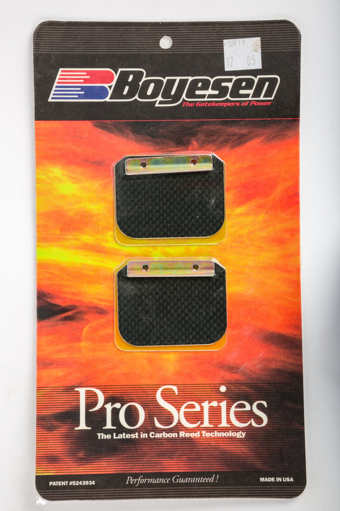 Motorcycle Pro Reeds