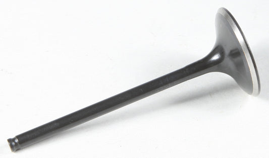 Black Diamond Intake Valve