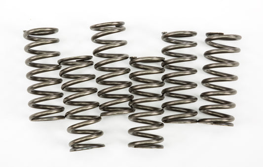 Clutch Springs Csk221