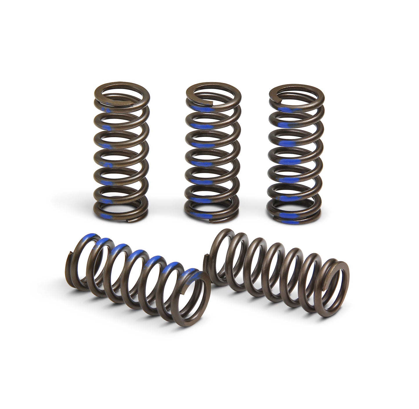 Clutch Springs