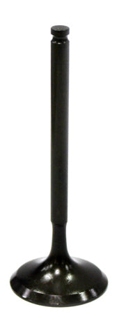 Exhaust Valve