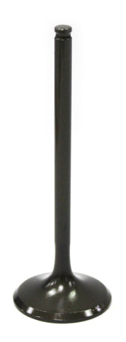 Exhaust Valve