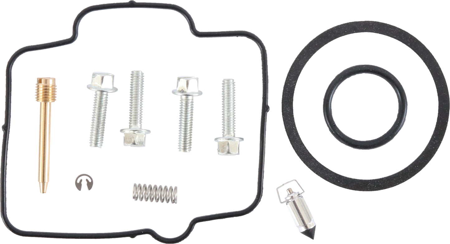 Bike Carburetor Rebuild Kit