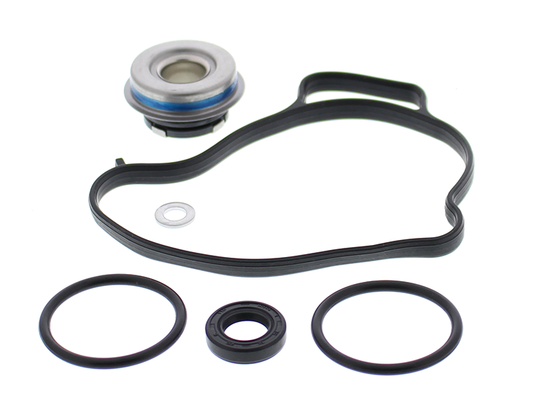 Water Pump Rebuild Kit