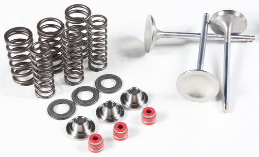 Intake Valve/Spring Kit Stainless Steel
