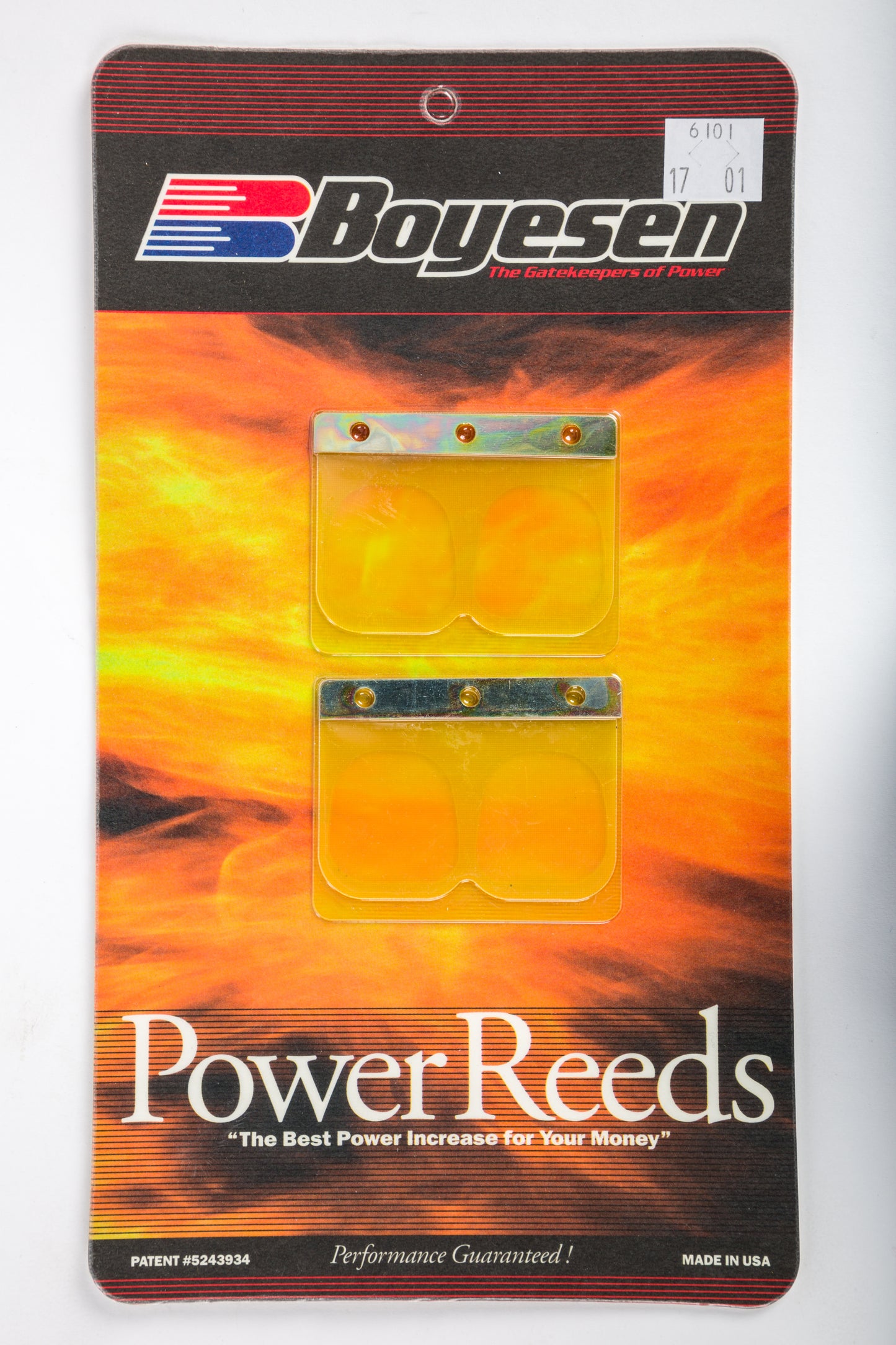 Motorcycle Reeds
