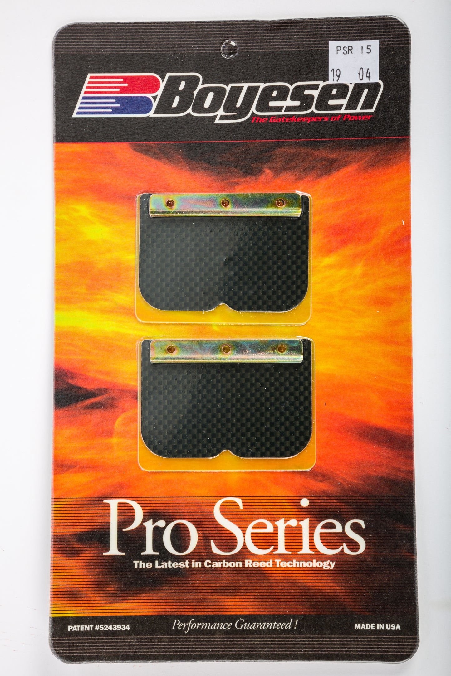 Motorcycle Pro Reeds
