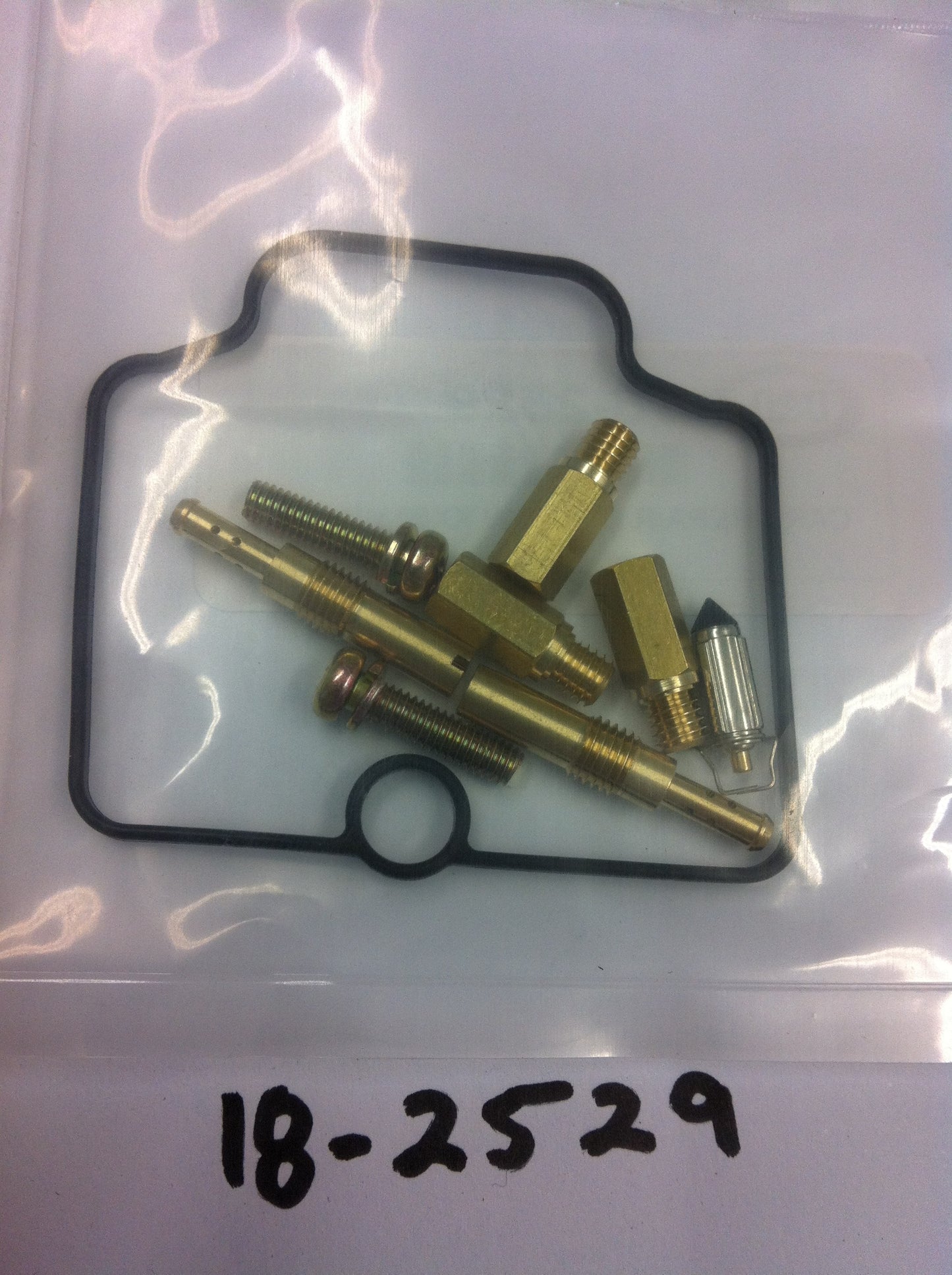 Carburetor Repair Kit
