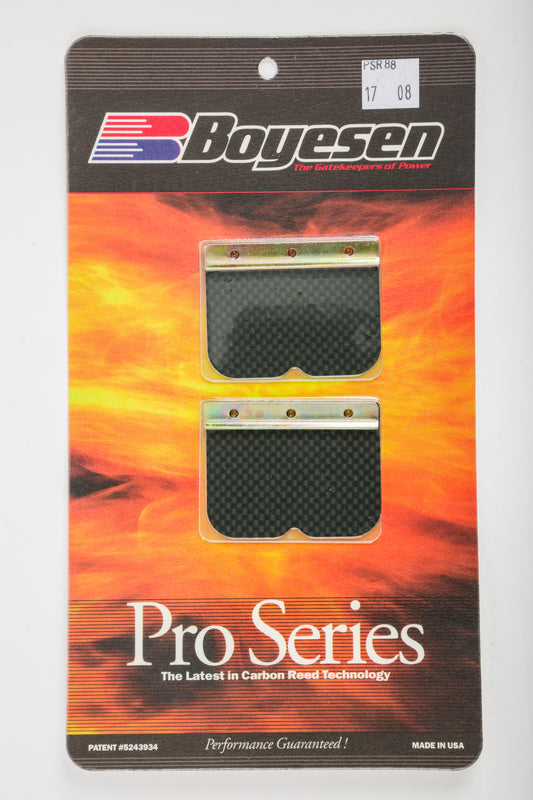 Motorcycle Pro Reeds
