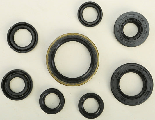 Oil Seal Set