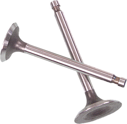 Valve Set Trx500 Foreman 05 12