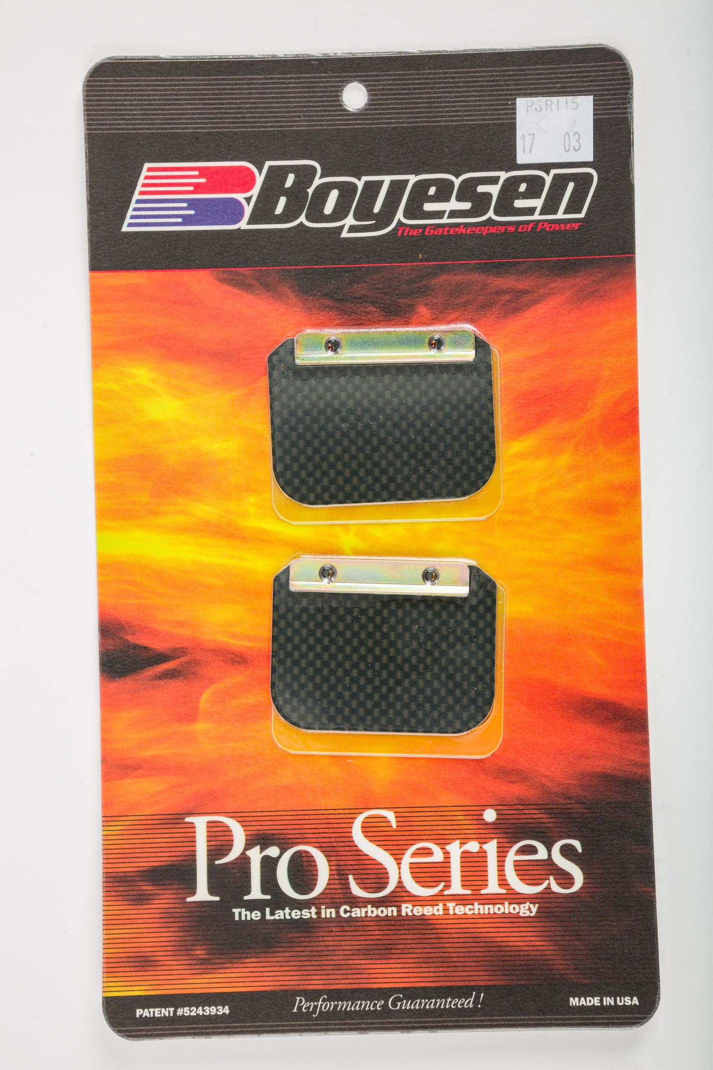 Motorcycle Pro Reeds