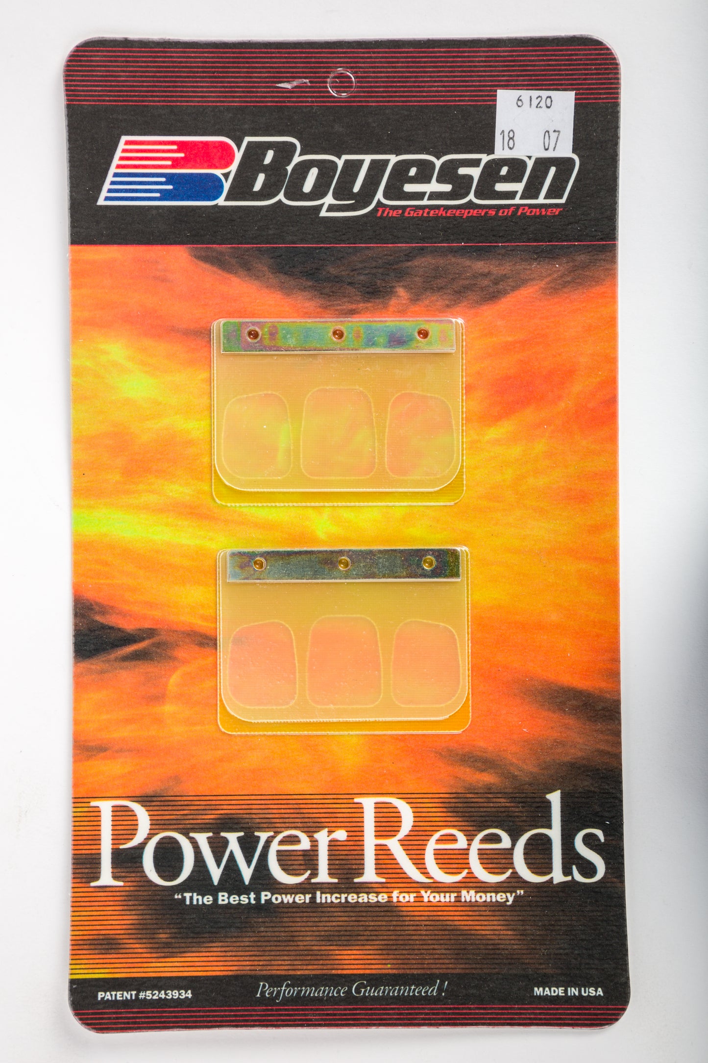 Motorcycle Reeds