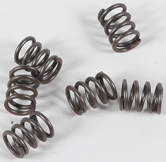 Clutch Springs Csk21