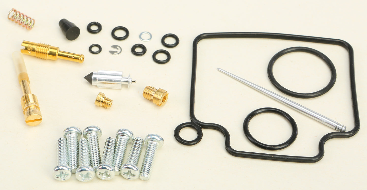 Carburetor Repair Kit