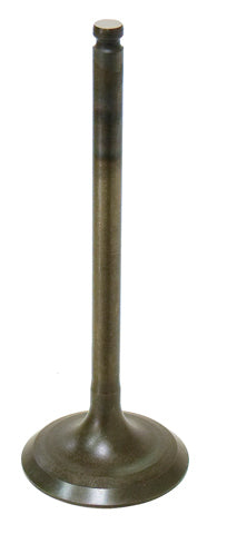 Intake Valve