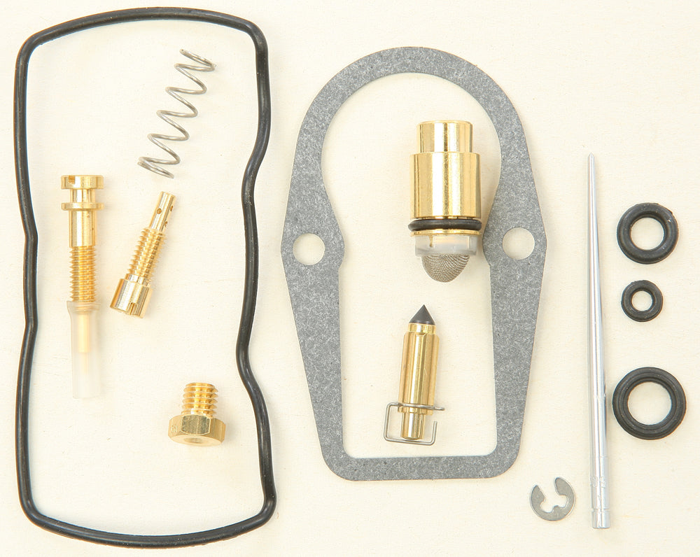 Bike Carburetor Rebuild Kit