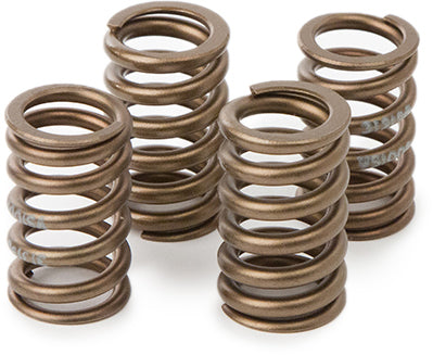 Valve Spring Kit Hon Crf450r '09 11