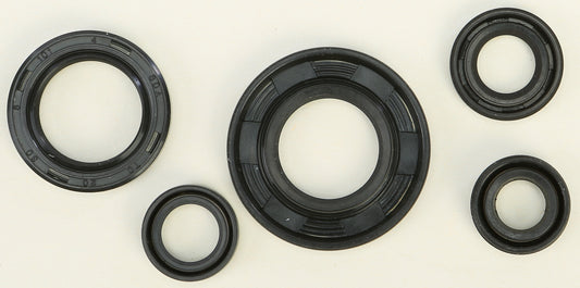 Oil Seal Set