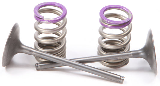 Intake Valve Conversion Set Ti Steel Kaw