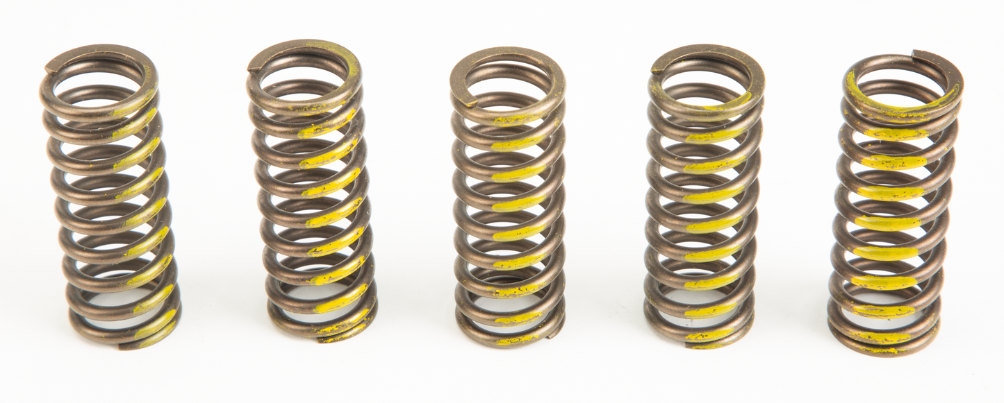 Clutch Springs