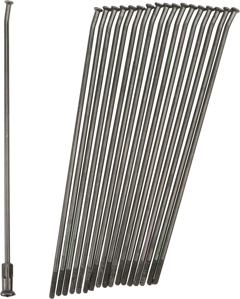 Double Butted Spokes Black/Black Rear 19" 36/Pk