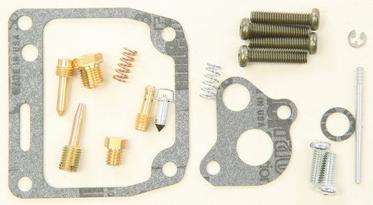 Bike Carburetor Rebuild Kit