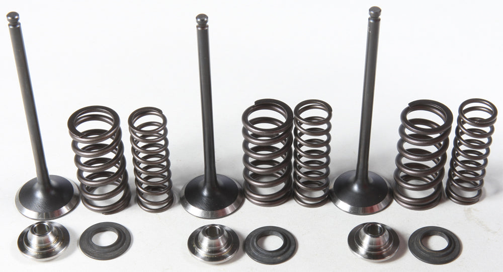 Intake Valve/Spring Kit Stainless Steel