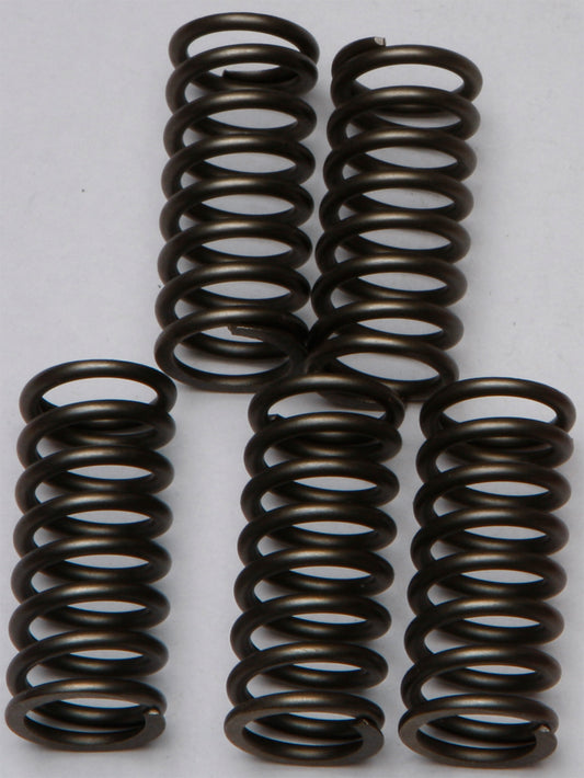Clutch Springs Csk132