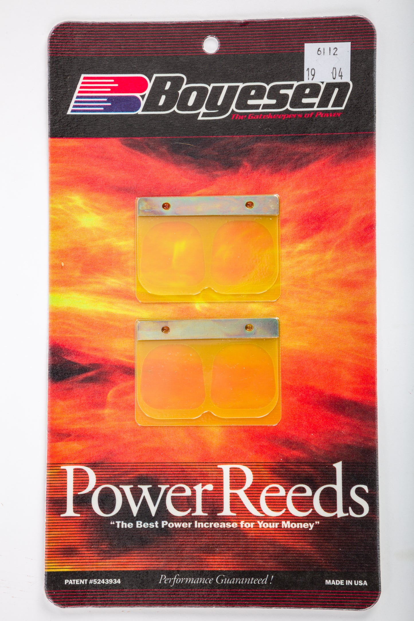 Motorcycle Reeds